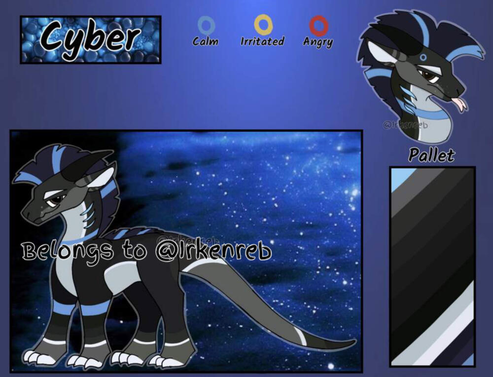 Can add extra’s like accessories, and mini wing refs, ect.
